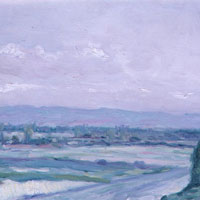 Llanada de Vitoria en Mayo. (Desde Durana)